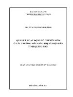 Quản lý hoạt động tổ chuyên môn ở các trường mẫu giáo thị xã điện bàn tỉnh quảng nam 