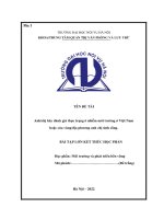 Tiểu luận Bài tập lớn về thực trạng ô nhiễm môi trường  ở Thành phố Hồ Chí Minh