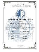 Nêu cấu trúc của thị trường và cơ sở sản xuất thống nhất ASEAN và phân tích  yếu tố tự do di chuyển đầu tư (8 điểm)