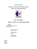 BÁO CÁO NHÓM MÔN TỔ CHỨC CÁC KÊNH PHÂN PHỐI Đề tài XE ĐIỆN PEGA – DHL CĐ MATM25B CLC