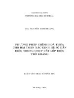 Phương pháp chỉnh hóa thưa cho bài toán xác định hệ số dẫn điện trong chụp cắt lớp điện trở kháng 