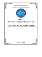 Thiết kế khai thác dầu bằng phương pháp gaslift liên tục cho giếng dh 18 ở mỏ đại hùng 