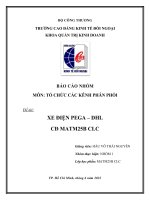 BÁO cáo NHÓM môn tổ CHỨC các KÊNH PHÂN PHỐI đề tài XE điện PEGA – DHL cđ MATM25B CLC 