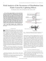 Field Analysis of the Occurrence of DistributionLine Faults Caused by Lightning Effects