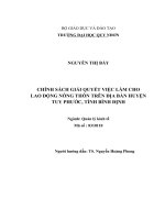 Chính sách giải quyết việc làm cho lao động nông thôn trên địa bàn huyện tuy phước, tỉnh bình định 