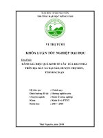 Đánh giá hiệu quả kinh tế cây lúa bao thai trên địa bàn xã đại sảo, huyện chợ đồn, tỉnh bắc kạn  