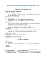 Trọn bộ giáo án Tin học lớp 3 sách Kết nối tri thức với cuộc sống_Bản đẹp