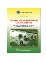 Tác động của biến đổi khí hậu lên sản xuất lúa 