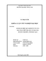 Đánh giá hiệu quả kinh tế cây lúa bao thai trên địa bàn xã đại sảo, huyện chợ đồn, tỉnh bắc kạn  