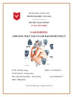 BÀI TIỂU LUẬN CUỐI KỲ TƯ DUY PHẢN BIỆN GASLIGHTING ÁNH SÁNG NGỤY TẠO CỦA KẺ BẠO HÀNH TÂM LÝ