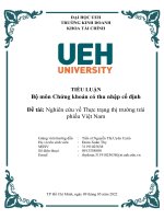 TIỂU LUẬN  Bộ môn Chứng khoán có thu nhập cố định Đề tài Nghiên cứu về Thực trạng thị trường trái phiếu Việt Nam