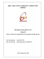 Bài tiểu luận môn thực hành cơ sở (3) 