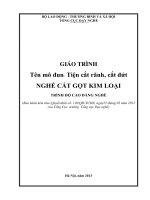 Giáo trình Tiện cắt rãnh, cắt đứt (Nghề Cắt gọt kim loại  Cao đẳng)