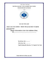 BÀI tập TỔNG hợp báo cáo tài CHÍNH – PHÂN TÍCH, dự báo và ĐỊNH GIÁ tên đề tài PHÂN TÍCH báo cáo tài CHÍNH CÔNG TY  công ty cổ phần dược hậu giang 