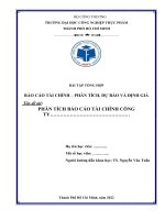 BÀI TẬP TỔNG HỢP BÁO CÁO TÀI CHÍNH – PHÂN TÍCH, DỰ BÁO VÀ ĐỊNH GIÁ Tên đề tài PHÂN TÍCH BÁO CÁO TÀI CHÍNH CÔNG TY  Công ty cổ phần Dược Hậu Giang