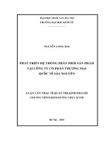 (LUẬN văn THẠC sĩ) phát triển hệ thống phân phối sản phẩm tại công ty cổ phần thương mại quốc tế gia nguyên    