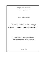 (LUẬN văn THẠC sĩ) đào tạo nguồn nhân lực tại công ty cổ phần bánh kẹo hải hà     
