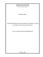 (LUẬN văn THẠC sĩ) phát triển hệ thống kênh phân phối sản phẩm bạc của công ty cổ phần vàng bạc đá quý phú nhuận    