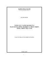 (LUẬN VĂN THẠC SĨ) Năng lực cạnh tranh của Ngân hàng nông nghiệp và phát triển nông thôn Việt Nam