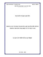 LUẬN ÁN TIẾN SĨ LUẬT HỌC PHÁP LUẬT VỀ BẢO VỆ QUYỀN LỢI NGƯỜI TIÊU DÙNG TRONG THƯƠNG MẠI ĐIỆN TỬ Ở VIỆT NAM