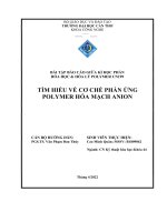 BÀI tập báo cáo GIỮA kì học PHẦN hóa học  hóa lý POLYMER CN199 tìm HIỂU về cơ CHẾ PHẢN ỨNG POLYMER hóa MẠCH ANION 