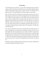Phân tích những ứng xử của việt nam trong quá trình tham gia vụ kiện chống phá giá và chống trợ cấp đối với tôm nước ấm đông lạnh
