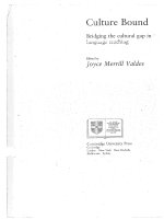 Culture bound  bridging the cultural gap in language teaching 