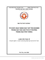 Tổ chức hoạt động học tập trải nghiệm trong dạy học giải tích ở trường trung học phổ thông 