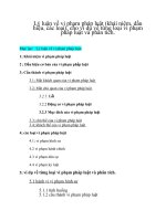 Lý luận về vi phạm pháp luật và cho ví dụ về từng loại vi phạm pháp luật và phân tích.