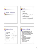 Mạng nơ ron nhân tạo