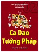 CA DAO TƯỚNG PHÁP VIỆT NAM