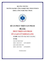 ĐỒ án PHÁT TRIỂN sản PHẨM đề tài PHÁT TRIỂN sản PHẨM sữa gạo lứt KHOAI LANG 