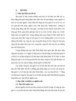 Môn quản lý xã hội cấp cơ sở NÂNG CAO HIỆU QUẢ CÔNG tác hòa GIẢI ở cấp cơ sở VIỆT NAM HIỆN NAY 