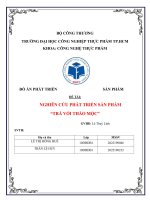 ĐỒ ÁN PHÁT TRIỂN SẢN PHẨM ĐỀ TÀI NGHIÊN CỨU PHÁT TRIỂN SẢN PHẨM TRÀ VỐI THẢO MỘC