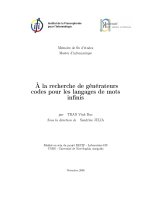 (LUẬN văn THẠC sĩ) a la recherche de générateurs codes pour les langages de mots infini 