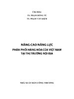 Nâng cao năng lực phân phối hàng hóa của Việt Nam tại thị trường nội địa