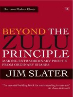 Beyond the zulu principle extraordinary profits from growth shares by jim slater