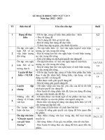 Giáo án bồi dưỡng học sinh giỏi ngữ văn 9, chất lượng (có phân phối chương trình)