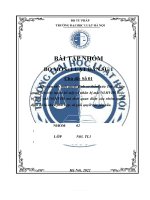 Hãy sưu tầm một quyết định sơ thẩm của Toà án liên quan đến việc tuyên bố một cá nhân bị mất NLHVDS hoặc bị hạn chế NLHVDS mà theo quan điểm của nhóm quyết định đó là chưa phù hợp, và giải quyết các yêu cầu
