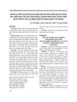 Đánh giá kết quả phương pháp nội soi ống mềm ngược dòng qua niệu đạo tán sỏi thận bằng laser không đặt stent niệu quản trước mổ tại Bệnh viện Đa khoa Quốc tế Vinmec