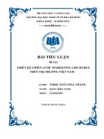 ĐỀ TÀI THIẾT KẾ CHIẾN LƯỢC MARKETING CHO DUREX TRÊN THỊ TRƯỜNG VIỆT NAM