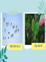 bài 1 phương pháp và kĩ năng học tập môn khoa học tự nhiên 7   kết nối tri thức