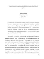 Tham nhũng tiền hôn nhân và ảnh hưởng của nó đối với hệ thống chính trị Ai Cập