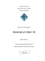 báo cáo thu hoạch tham quan thực tế Tham quan nhà máy Yakult Việt Nam Tham quan nhà máy Ajinomoto Biên Hòa Tham quan công ty đạm cổ phần dầu khí phân bón Cà Mau