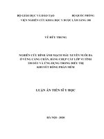 Nghiên cứu hình ảnh mạch máu xuyên nuôi da ở vùng cẳng chân, bằng chụp cắt lớp vi tính 320 dãy và ứng dụng trong điều trị khuyết hổng phần mềm