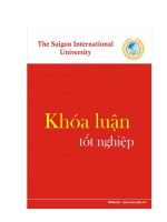 Khóa luận tốt nghiệp ngành Quản trị kinh doanh: Tác động của các yếu tố quảng cáo trực tuyến đến hành vi chọn mua tour du lịch nước ngoài của khách hàng tại Công ty Cổ phần Du