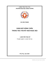 Xung đột nông thôn trong tiểu thuyết ngô ngọc bội 