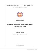 Kiểu nhân vật trong đinh trang mộng của diêm liên khoa 