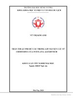 Trần thuật phi hư cấu trong lời nguyện cầu từ chernobyl của svetlana alexievich 