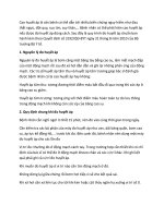 Cách đo huyết áp theo hướng dẫn bộ y tế